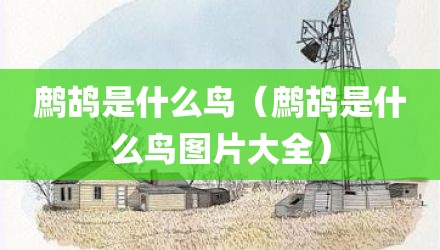 鹧鸪是什么鸟（鹧鸪是什么鸟图片大全）