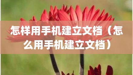 怎样用手机建立文档(怎么用手机建立文档)