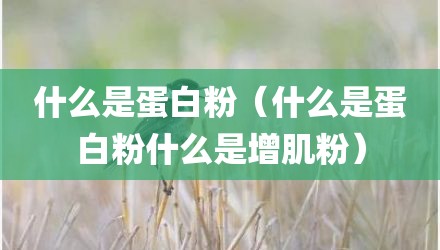 什么是蛋白粉（什么是蛋白粉什么是增肌粉）