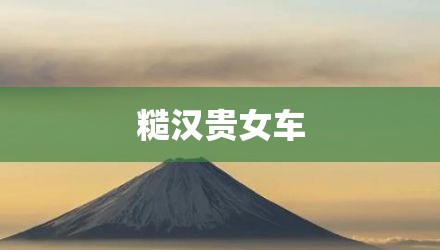 糙汉贵女车