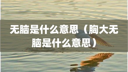 无脑是什么意思（胸大无脑是什么意思）
