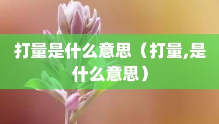 打量是什么意思（打量,是什么意思）