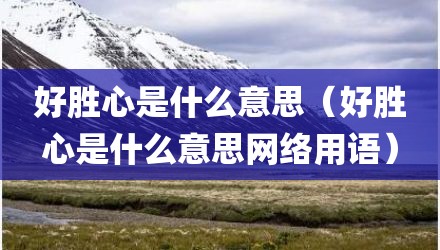 好胜心是什么意思（好胜心是什么意思网络用语）