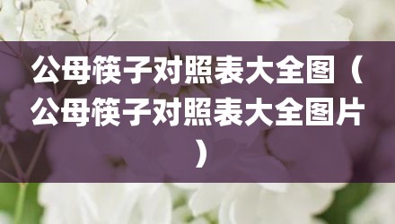 公母筷子对照表大全图（公母筷子对照表大全图片）