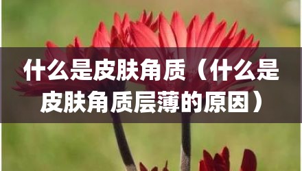 什么是皮肤角质（什么是皮肤角质层薄的原因）