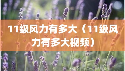 11级风力有多大（11级风力有多大视频）