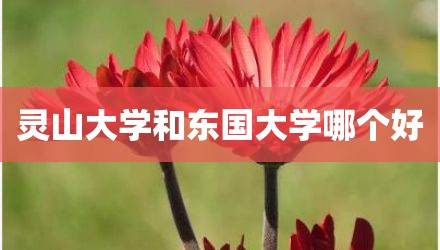 灵山大学和东国大学哪个好