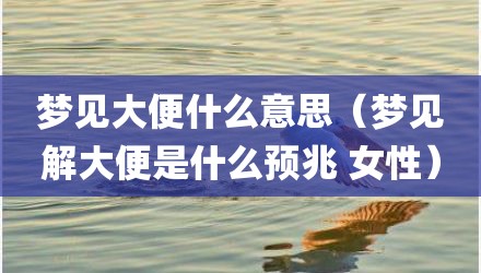 梦见大便什么意思（梦见解大便是什么预兆 女性）