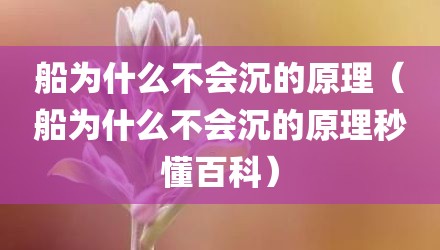 船为什么不会沉的原理（船为什么不会沉的原理秒懂百科）