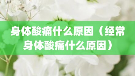 身体酸痛什么原因（经常身体酸痛什么原因）