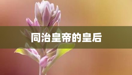 同治皇帝的皇后