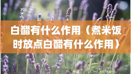 白醋有什么作用（煮米饭时放点白醋有什么作用）