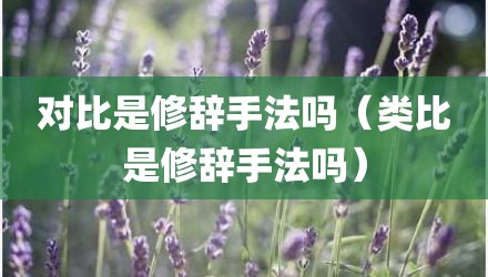 对比是修辞手法吗（类比是修辞手法吗）