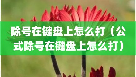 除号在键盘上怎么打（公式除号在键盘上怎么打）