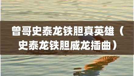曾哥史泰龙铁胆真英雄(史泰龙铁胆威龙插曲)