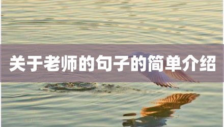 关于老师的句子的简单介绍