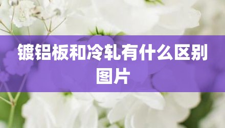 镀铝板和冷轧有什么区别图片
