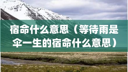 宿命什么意思（等待雨是伞一生的宿命什么意思）