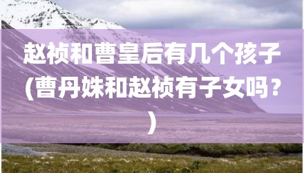 赵祯和曹皇后有几个孩子(曹丹姝和赵祯有子女吗？)