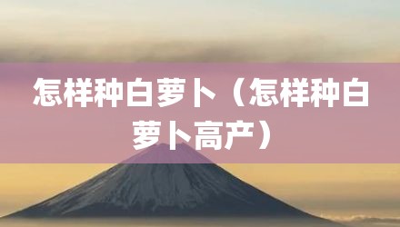 怎样种白萝卜（怎样种白萝卜高产）