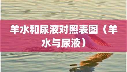 羊水和尿液对照表图（羊水与尿液）