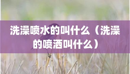 洗澡喷水的叫什么（洗澡的喷洒叫什么）