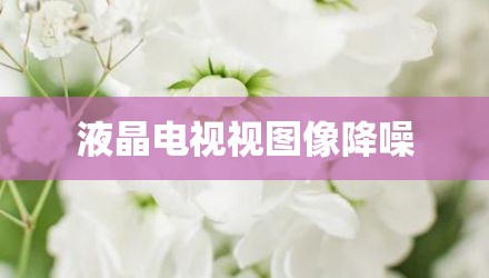 液晶电视视图像降噪