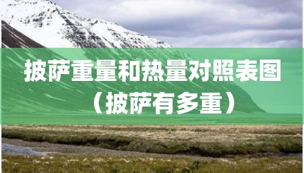 披萨重量和热量对照表图（披萨有多重）