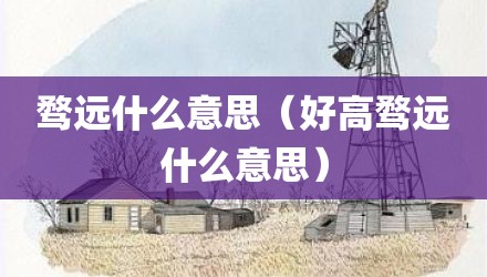 骛远什么意思（好高骛远什么意思）