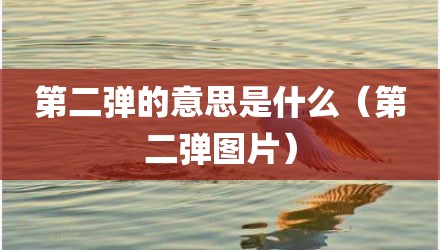 第二弹的意思是什么（第二弹图片）