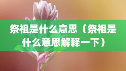 祭祖是什么意思(祭祖是什么意思解释一下)