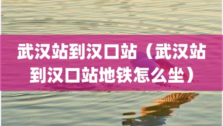 武汉站到汉口站（武汉站到汉口站地铁怎么坐）