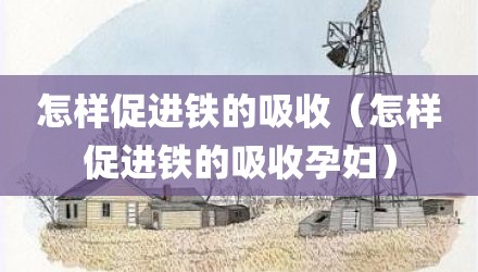 怎样促进铁的吸收(怎样促进铁的吸收孕妇)