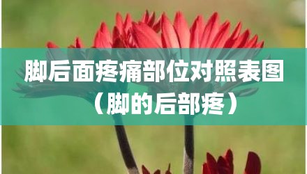 脚后面疼痛部位对照表图（脚的后部疼）