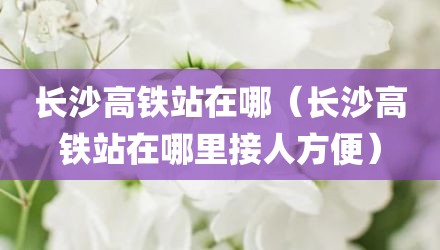 长沙高铁站在哪（长沙高铁站在哪里接人方便）