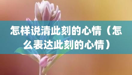 怎样说清此刻的心情（怎么表达此刻的心情）