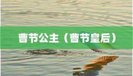 曹节公主（曹节皇后）