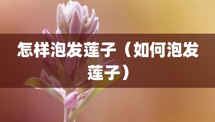 怎样泡发莲子(如何泡发莲子)