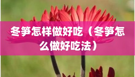 冬笋怎样做好吃（冬笋怎么做好吃法）