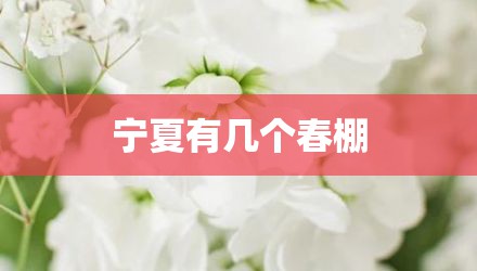 宁夏有几个春棚