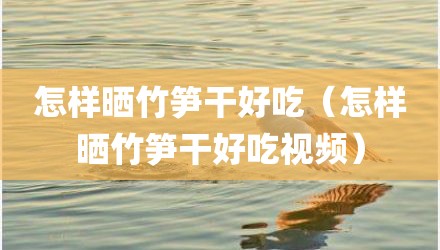 怎样晒竹笋干好吃（怎样晒竹笋干好吃视频）