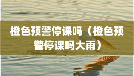 橙色预警停课吗（橙色预警停课吗大雨）
