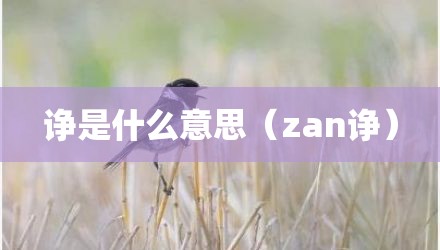诤是什么意思（zan诤）