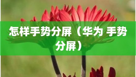 怎样手势分屏（华为 手势分屏）