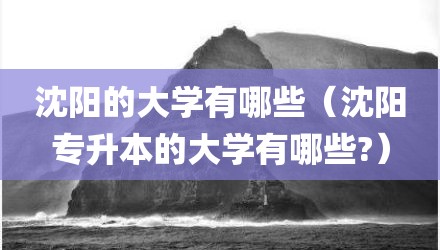 沈阳的大学有哪些（沈阳专升本的大学有哪些?）