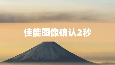 佳能图像确认2秒