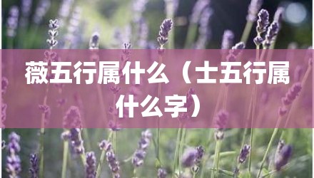薇五行属什么（士五行属什么字）