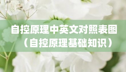 自控原理中英文对照表图（自控原理基础知识）