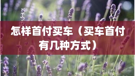 怎样首付买车（买车首付有几种方式）