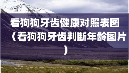看狗狗牙齿健康对照表图（看狗狗牙齿判断年龄图片）